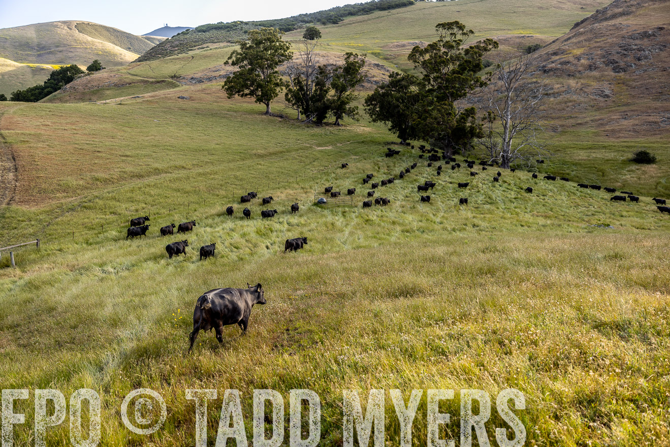 TMyers_CalPoly_CA_May2023-526277
