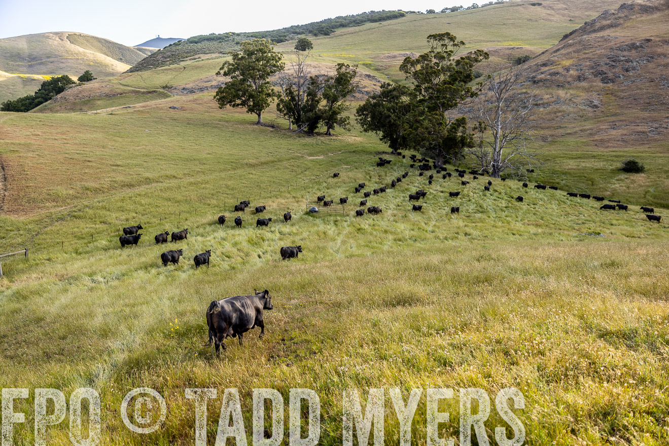 TMyers_CalPoly_CA_May2023-526279