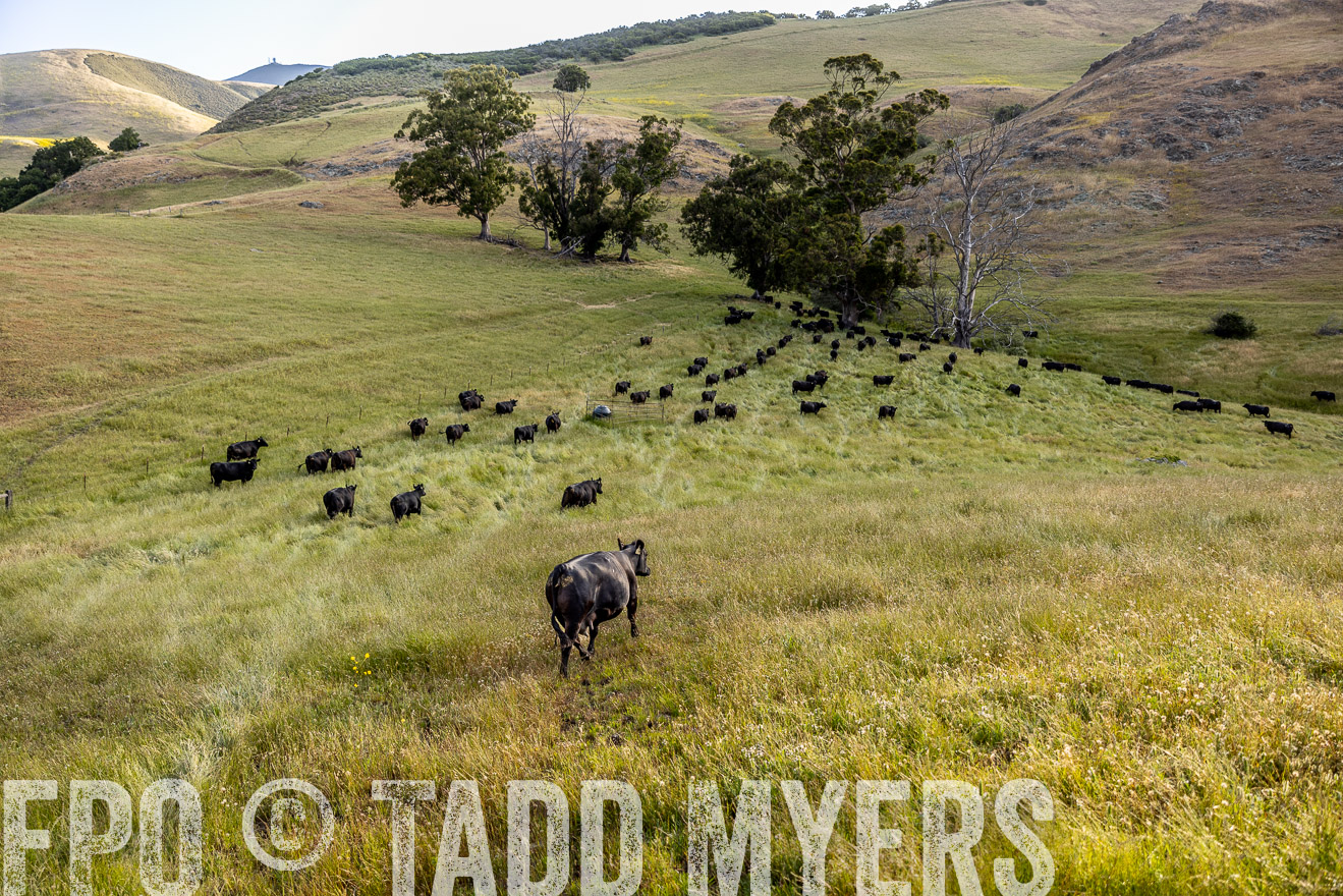 TMyers_CalPoly_CA_May2023-526283