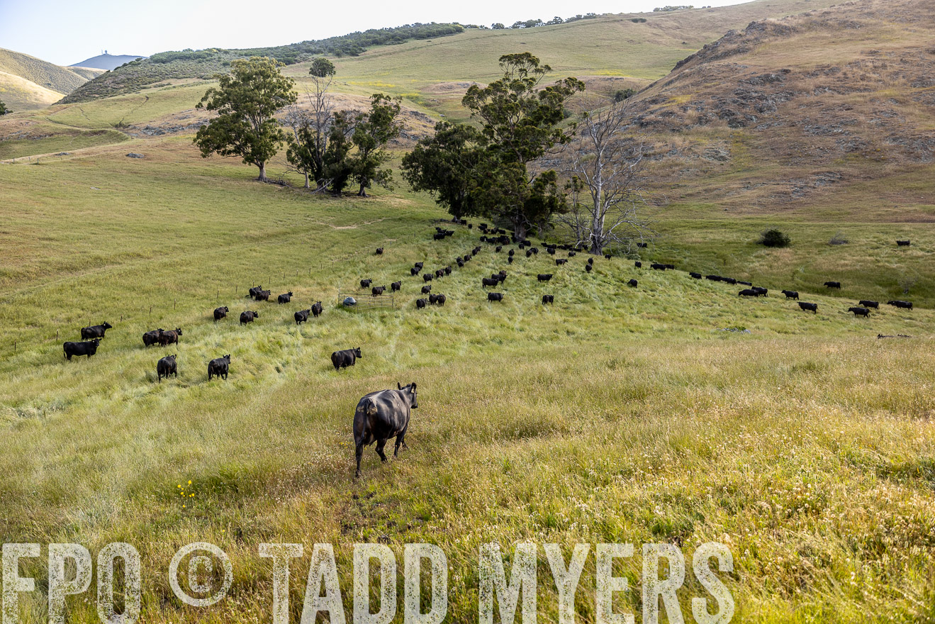 TMyers_CalPoly_CA_May2023-526287