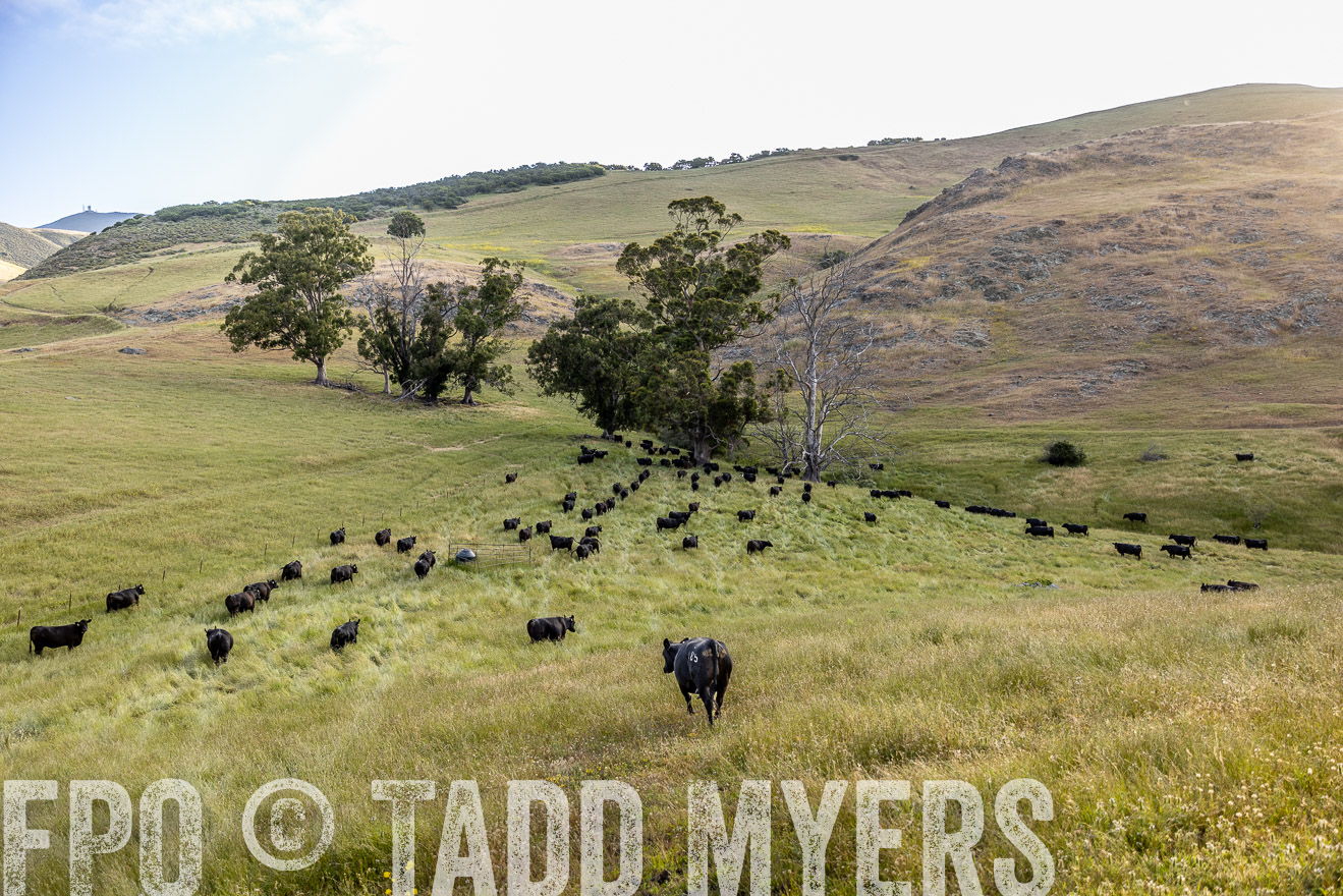 TMyers_CalPoly_CA_May2023-526304