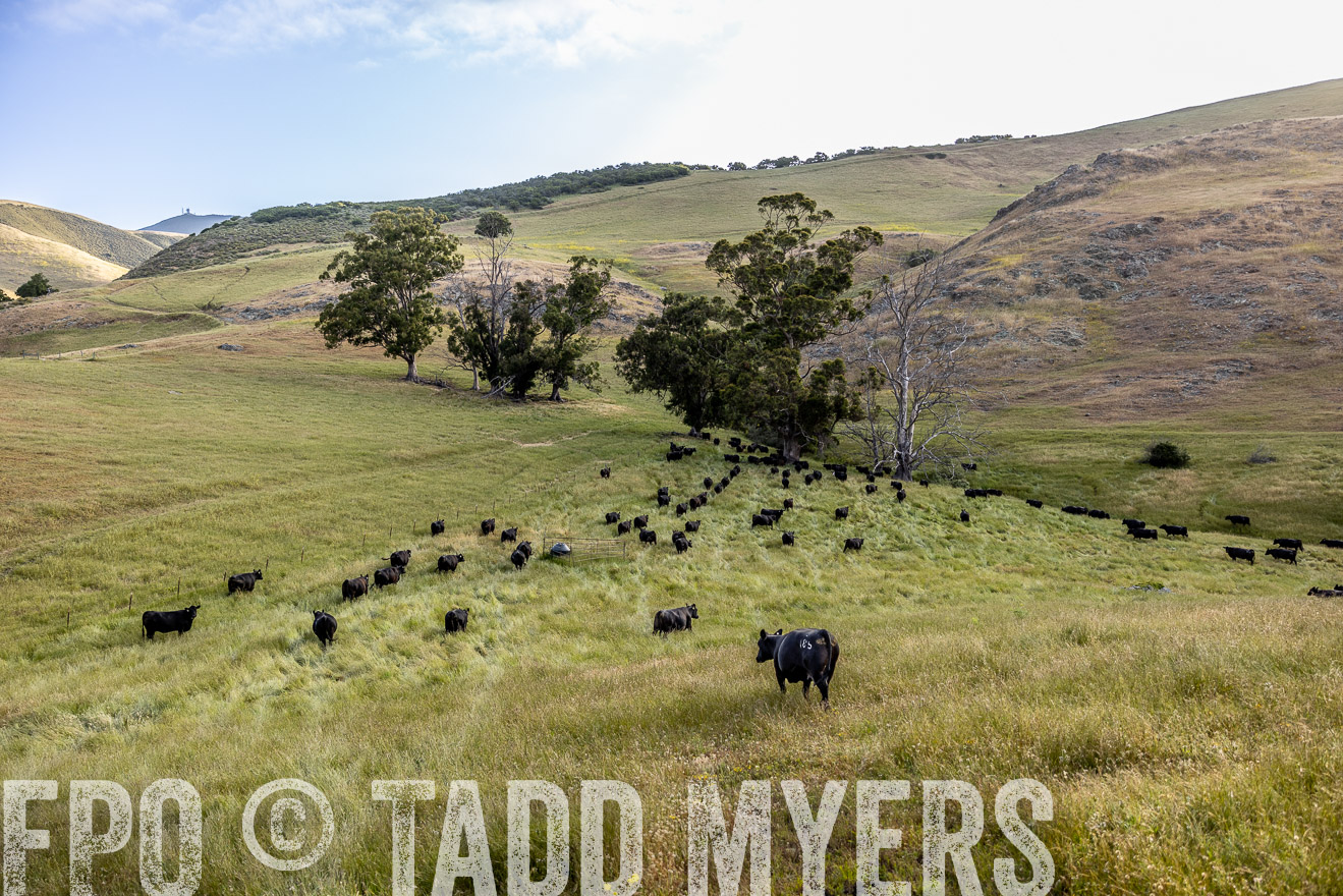 TMyers_CalPoly_CA_May2023-526306