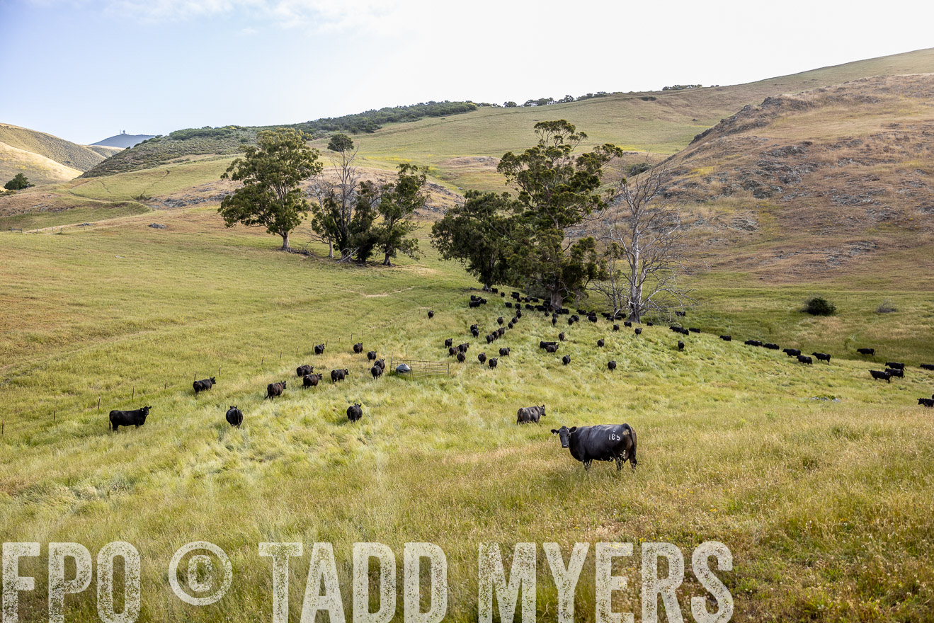 TMyers_CalPoly_CA_May2023-526320