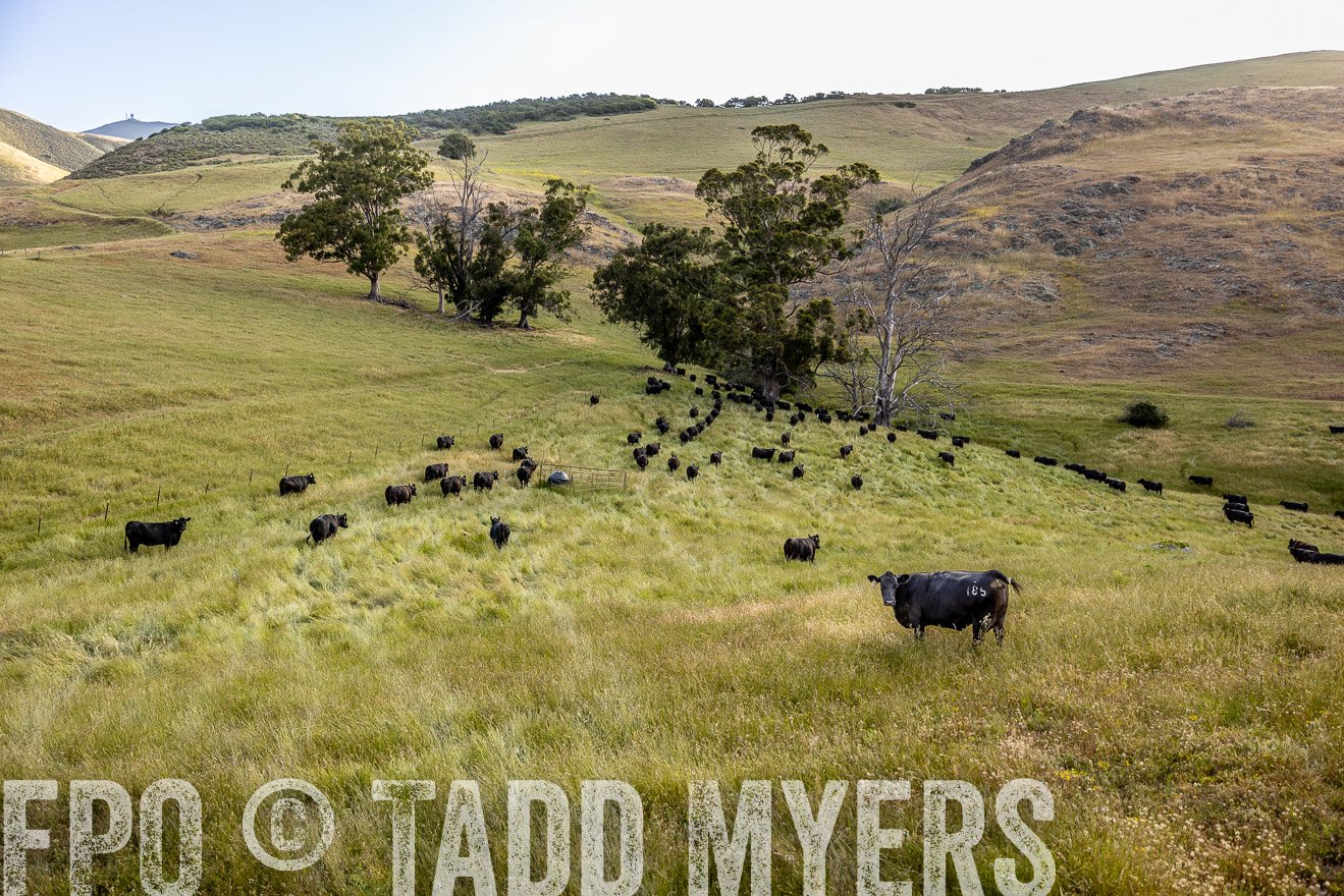 TMyers_CalPoly_CA_May2023-526332