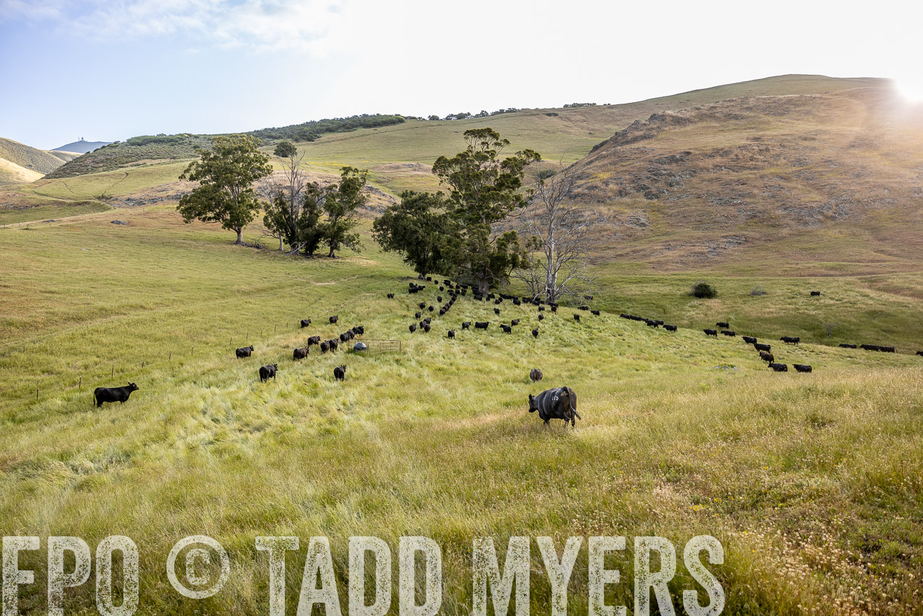 TMyers_CalPoly_CA_May2023-526347