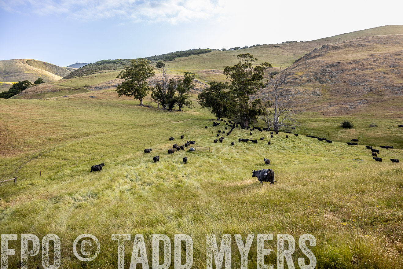 TMyers_CalPoly_CA_May2023-526351