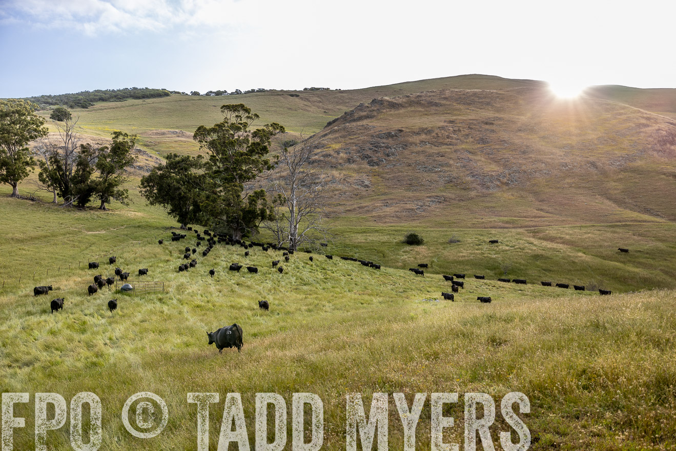 TMyers_CalPoly_CA_May2023-526368