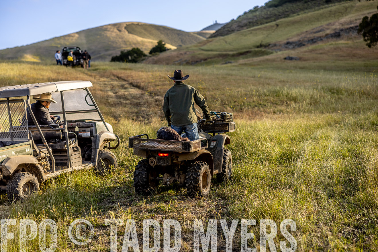 TMyers_CalPoly_CA_May2023-526589