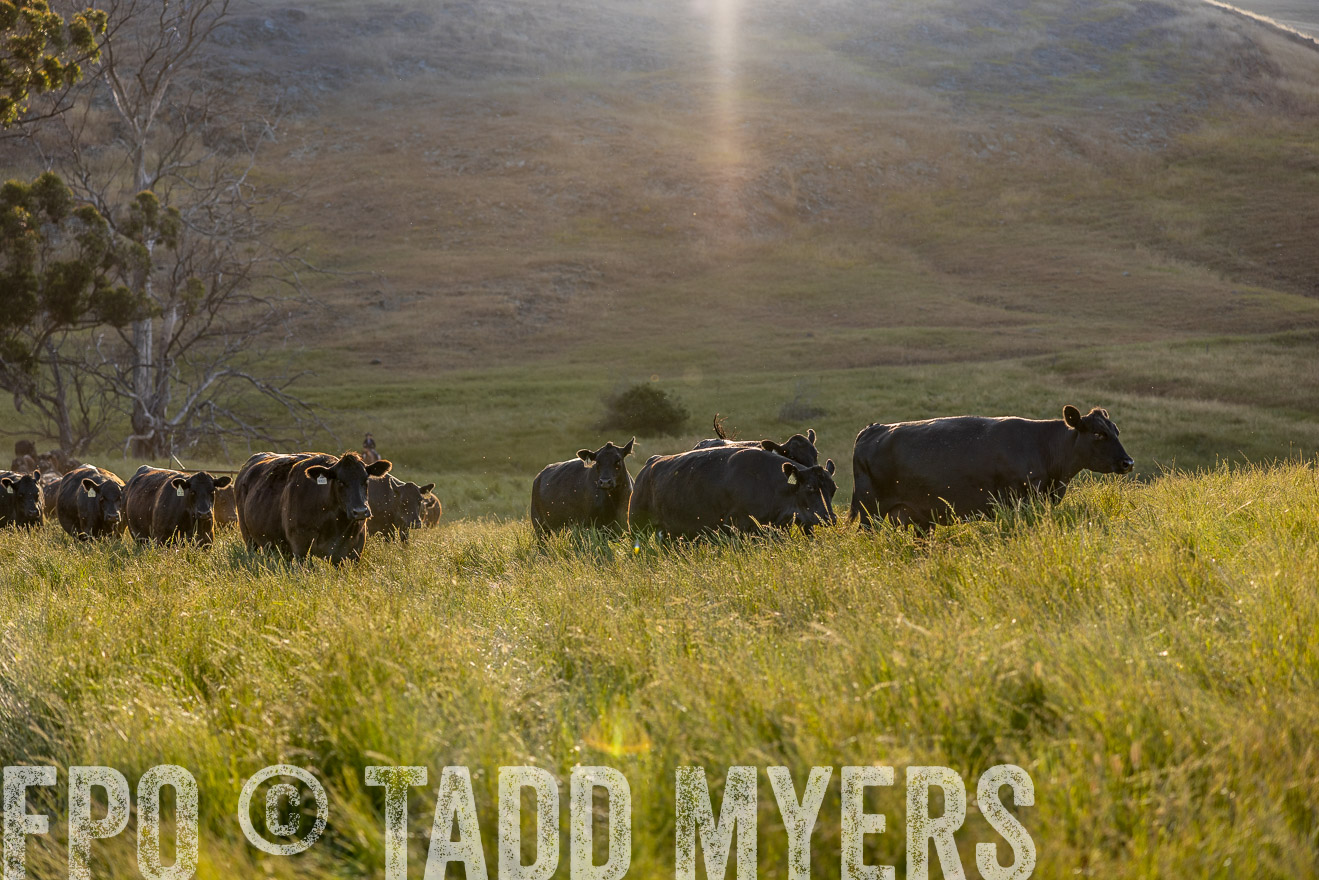 TMyers_CalPoly_CA_May2023-526779
