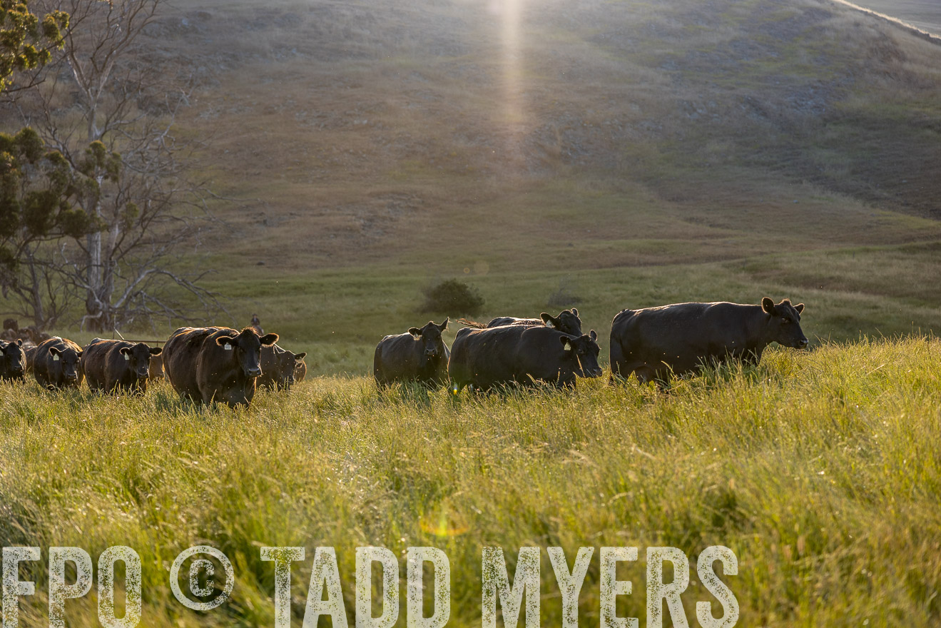 TMyers_CalPoly_CA_May2023-526781
