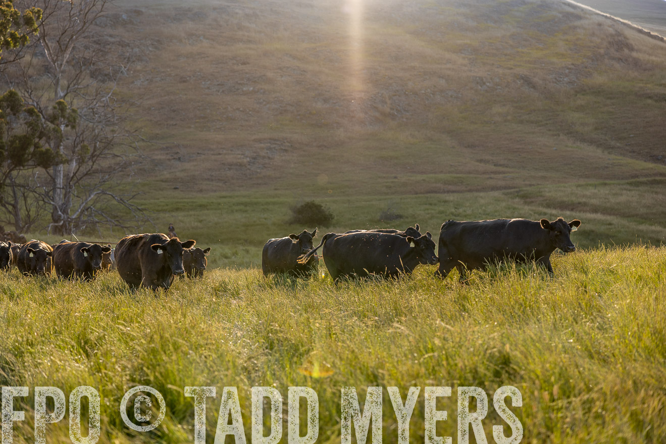TMyers_CalPoly_CA_May2023-526784