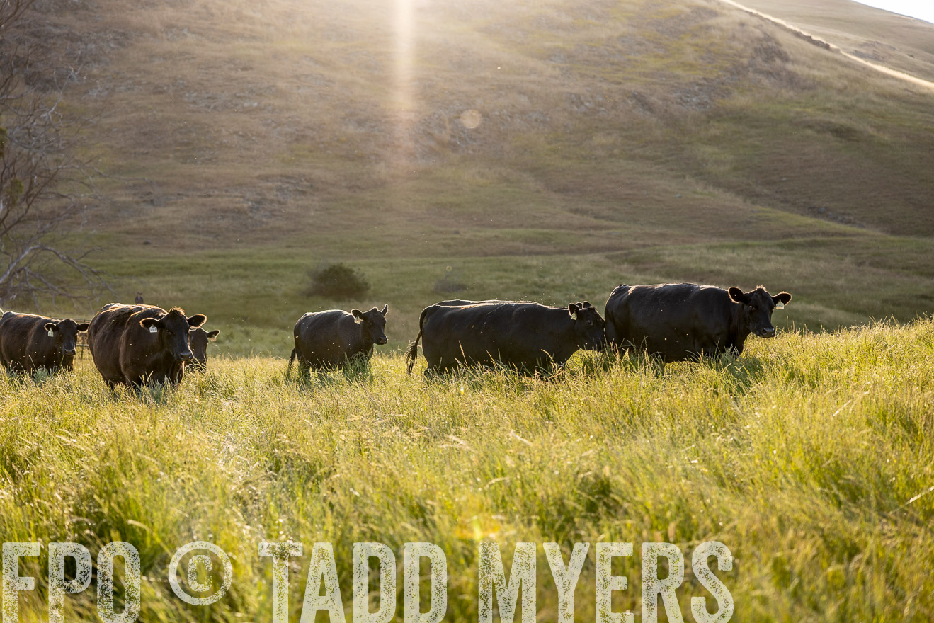 TMyers_CalPoly_CA_May2023-526791