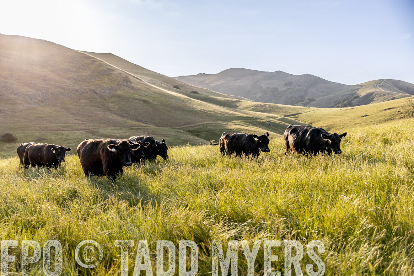 TMyers_CalPoly_CA_May2023-526836