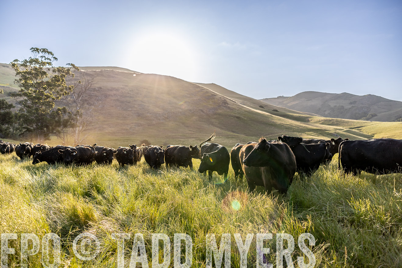 TMyers_CalPoly_CA_May2023-526876