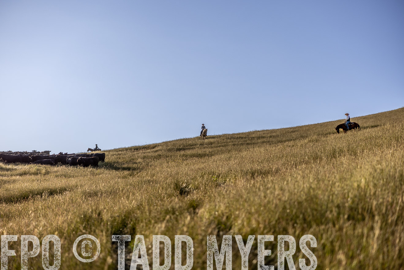 TMyers_CalPoly_CA_May2023-527059