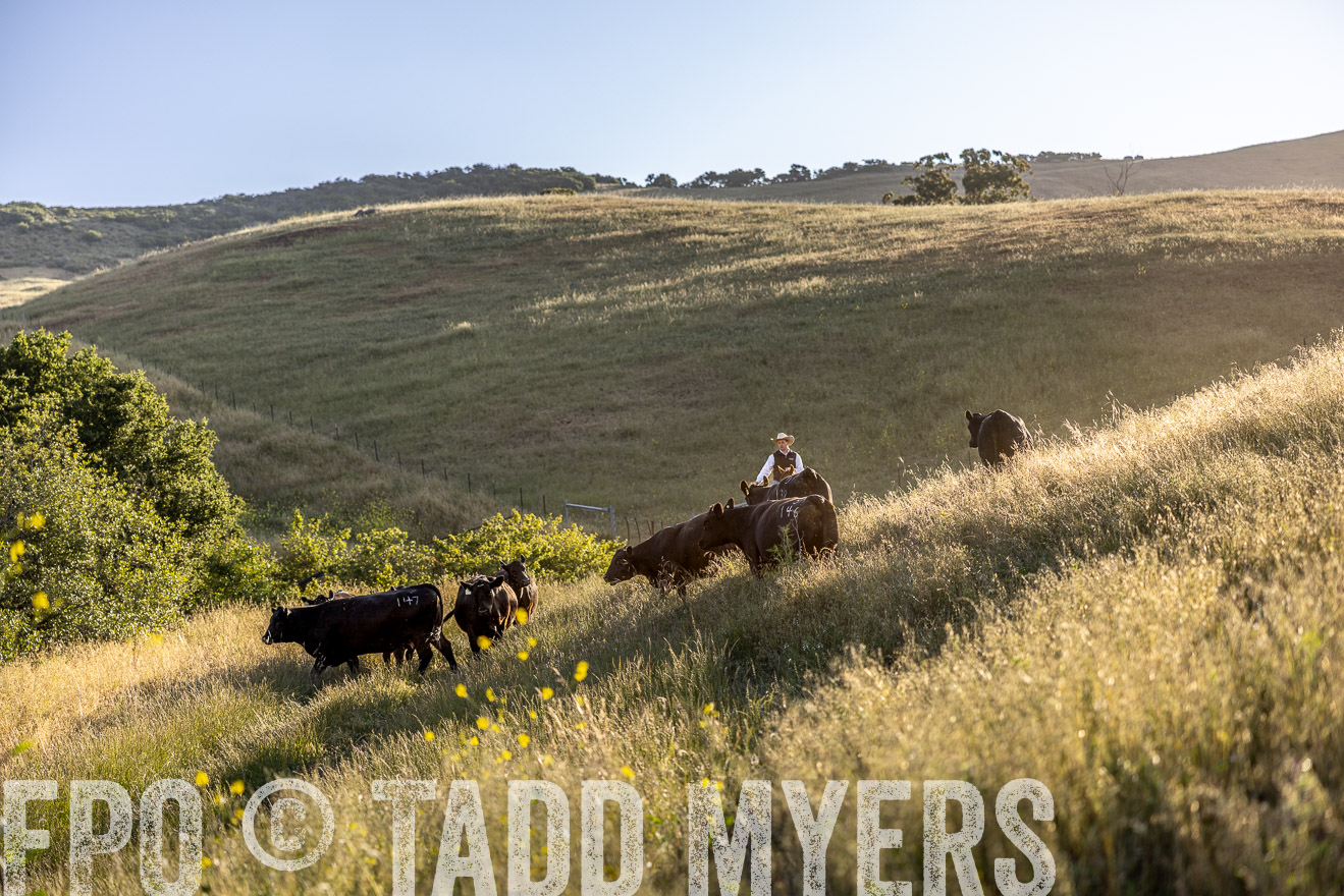 TMyers_CalPoly_CA_May2023-527114