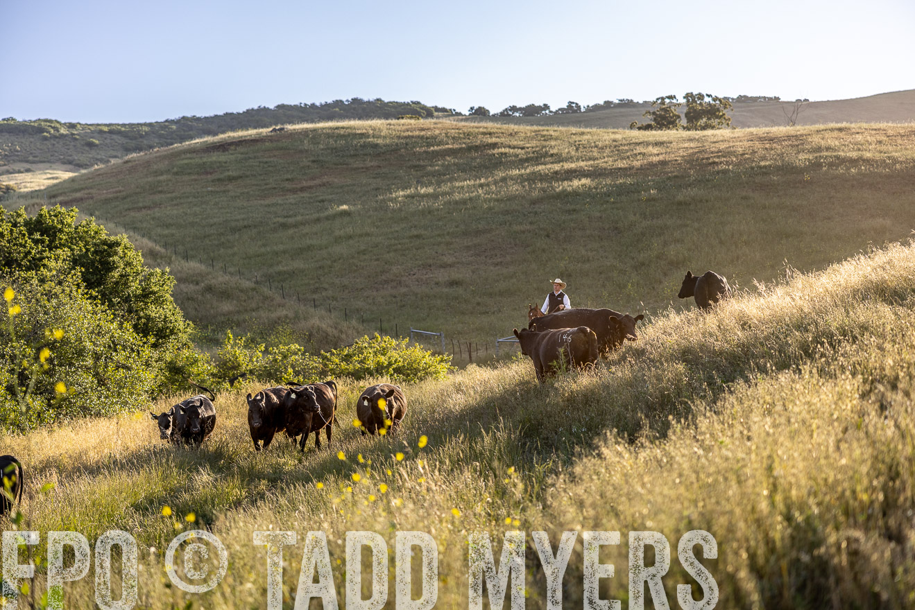 TMyers_CalPoly_CA_May2023-527118