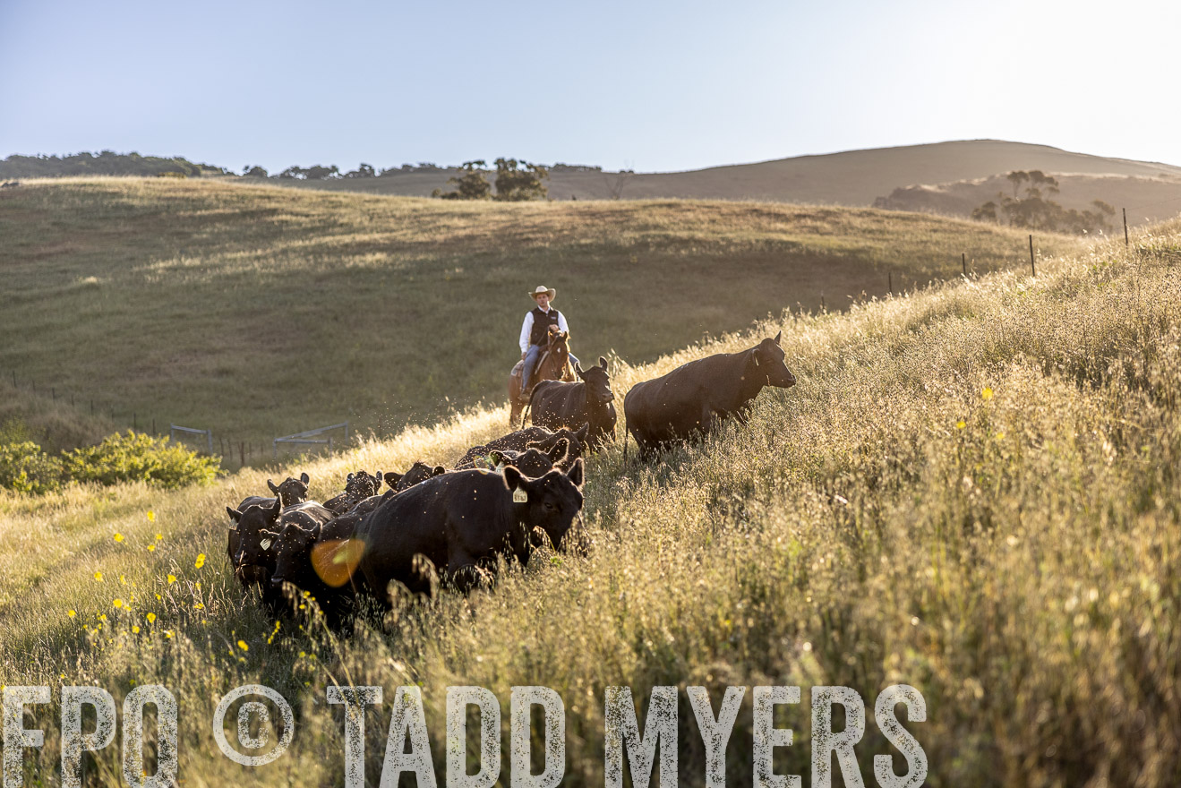 TMyers_CalPoly_CA_May2023-527138