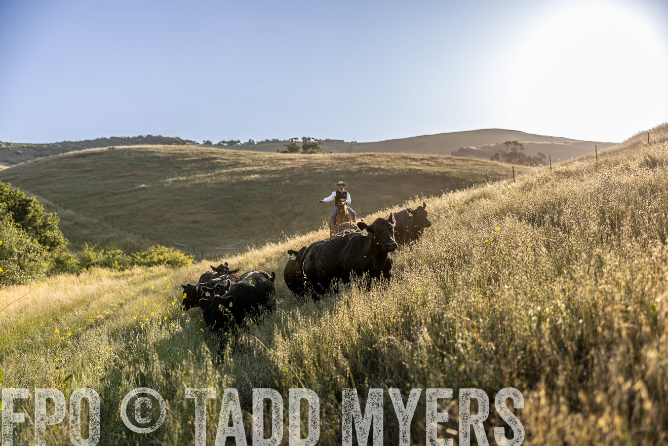 TMyers_CalPoly_CA_May2023-527151