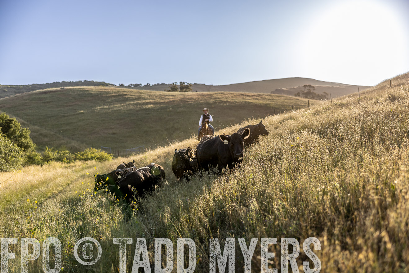 TMyers_CalPoly_CA_May2023-527158
