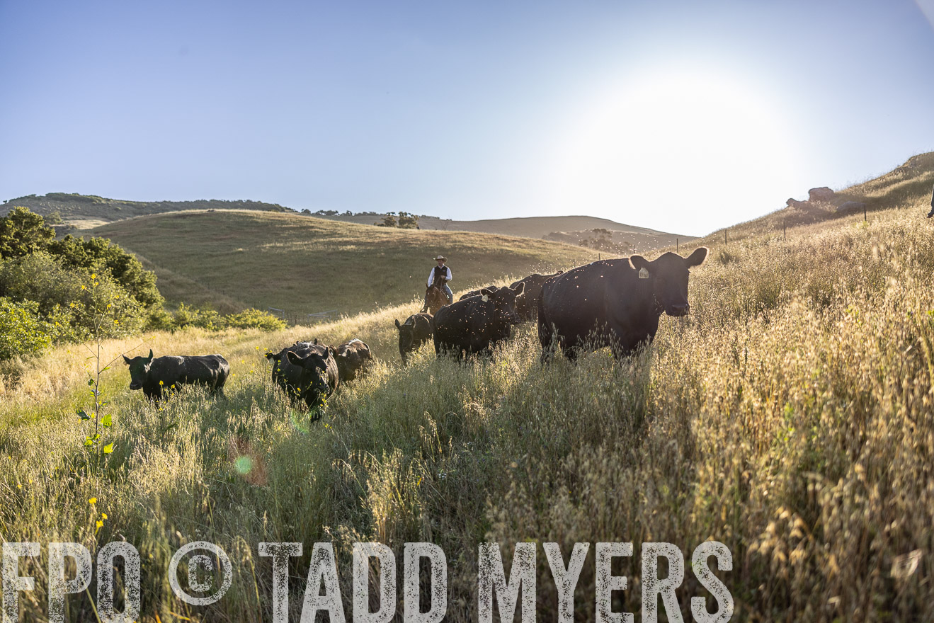 TMyers_CalPoly_CA_May2023-527178