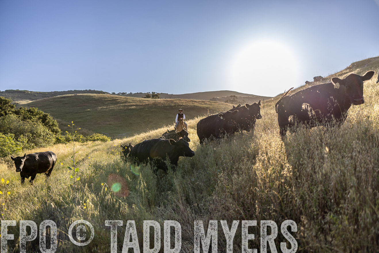 TMyers_CalPoly_CA_May2023-527199