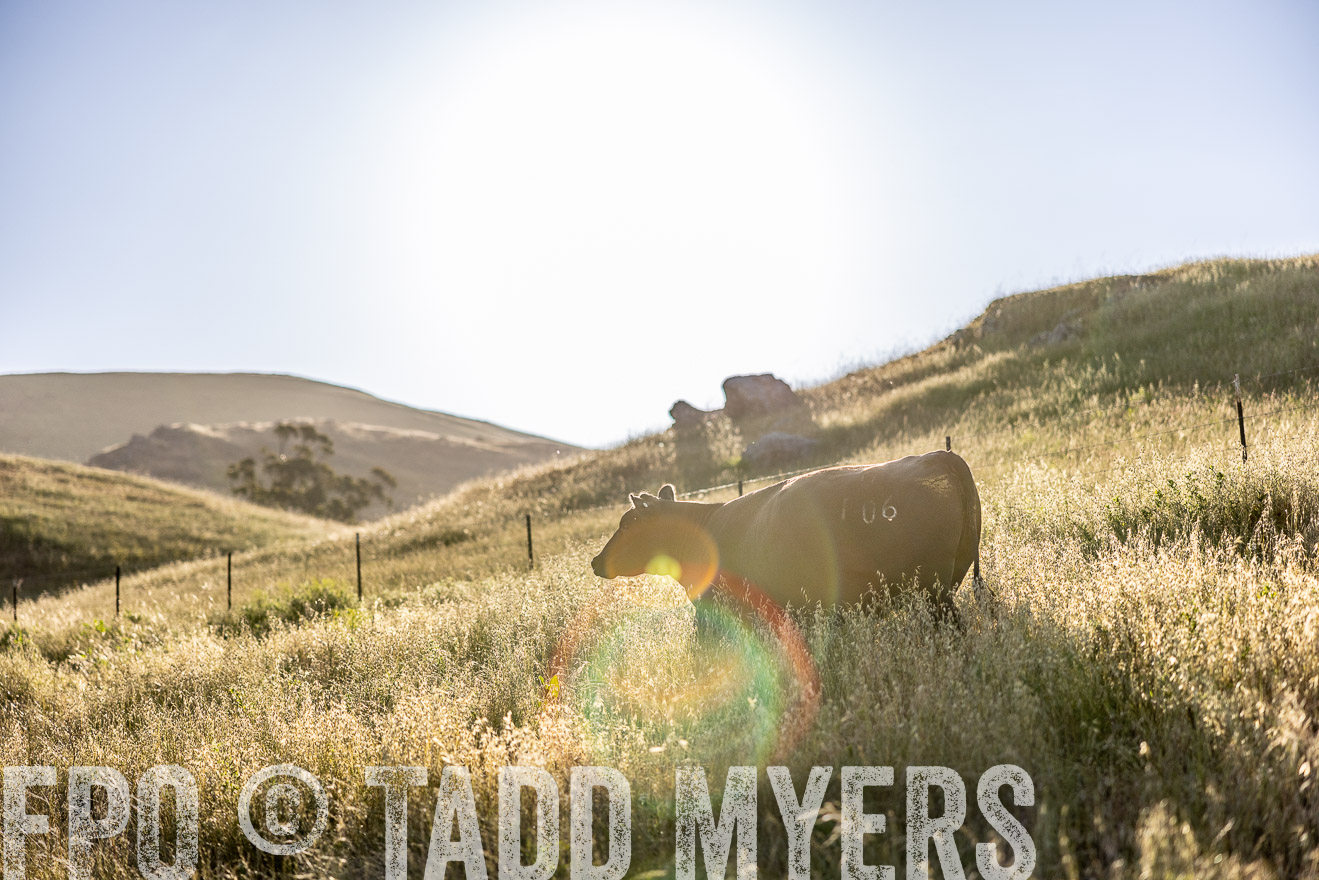 TMyers_CalPoly_CA_May2023-527317