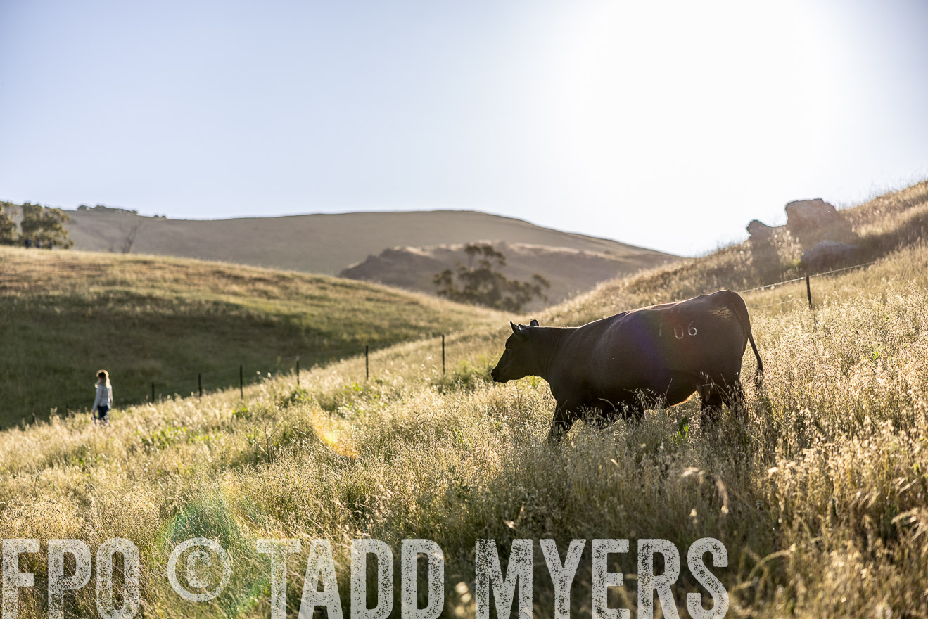 TMyers_CalPoly_CA_May2023-527320
