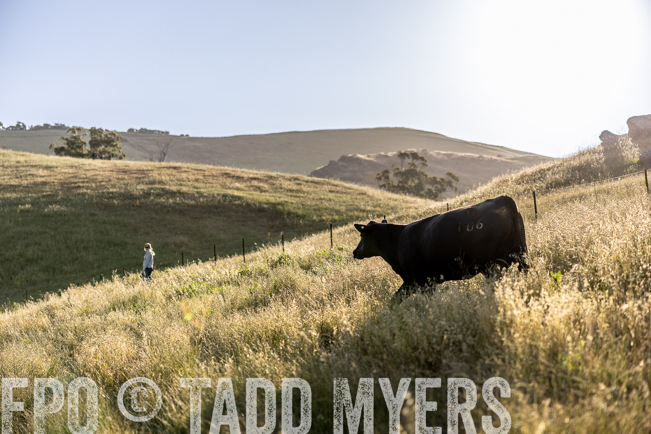 TMyers_CalPoly_CA_May2023-527323
