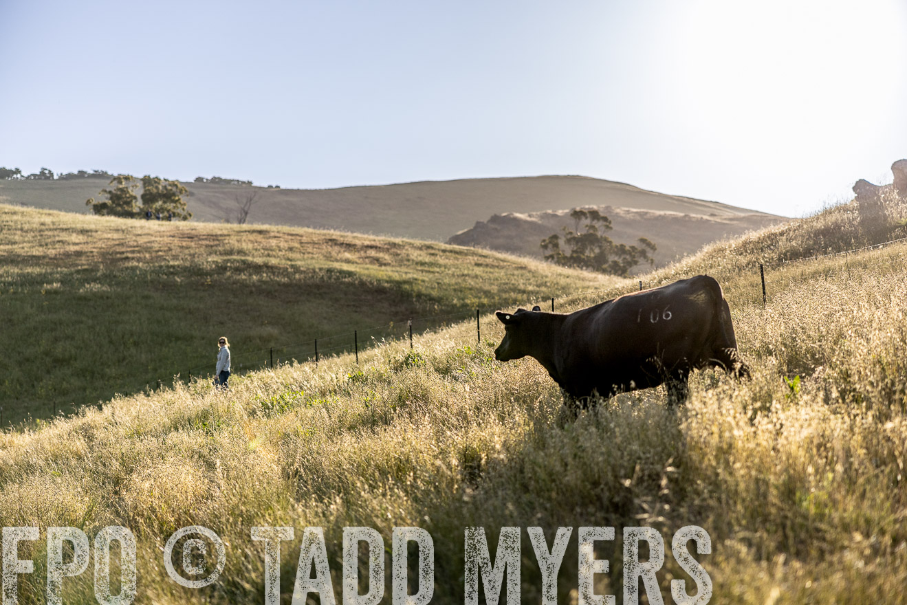 TMyers_CalPoly_CA_May2023-527324