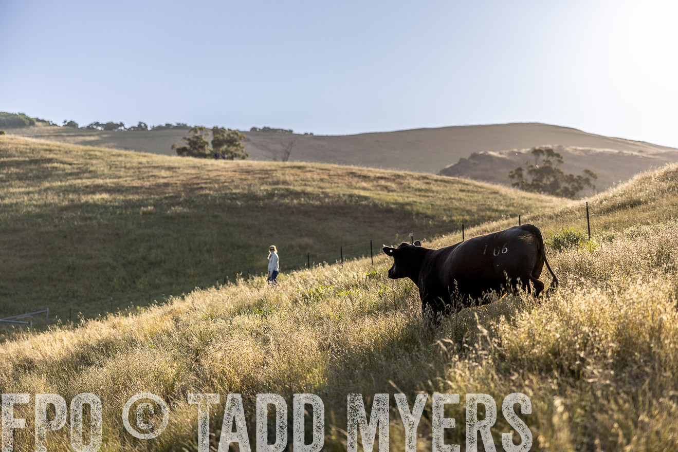 TMyers_CalPoly_CA_May2023-527329