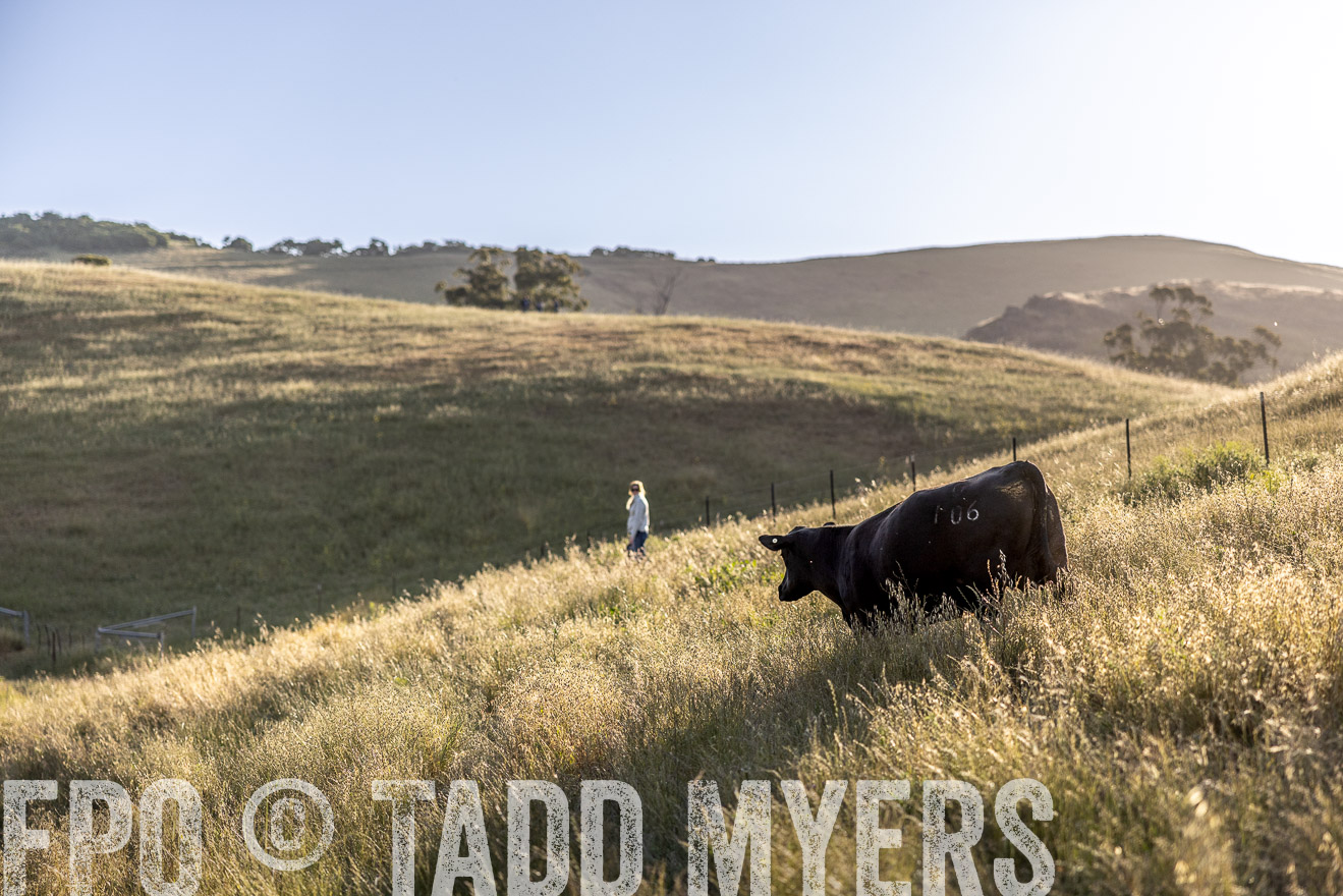 TMyers_CalPoly_CA_May2023-527332