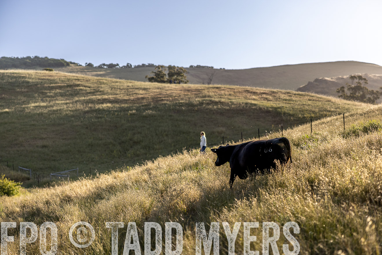TMyers_CalPoly_CA_May2023-527336