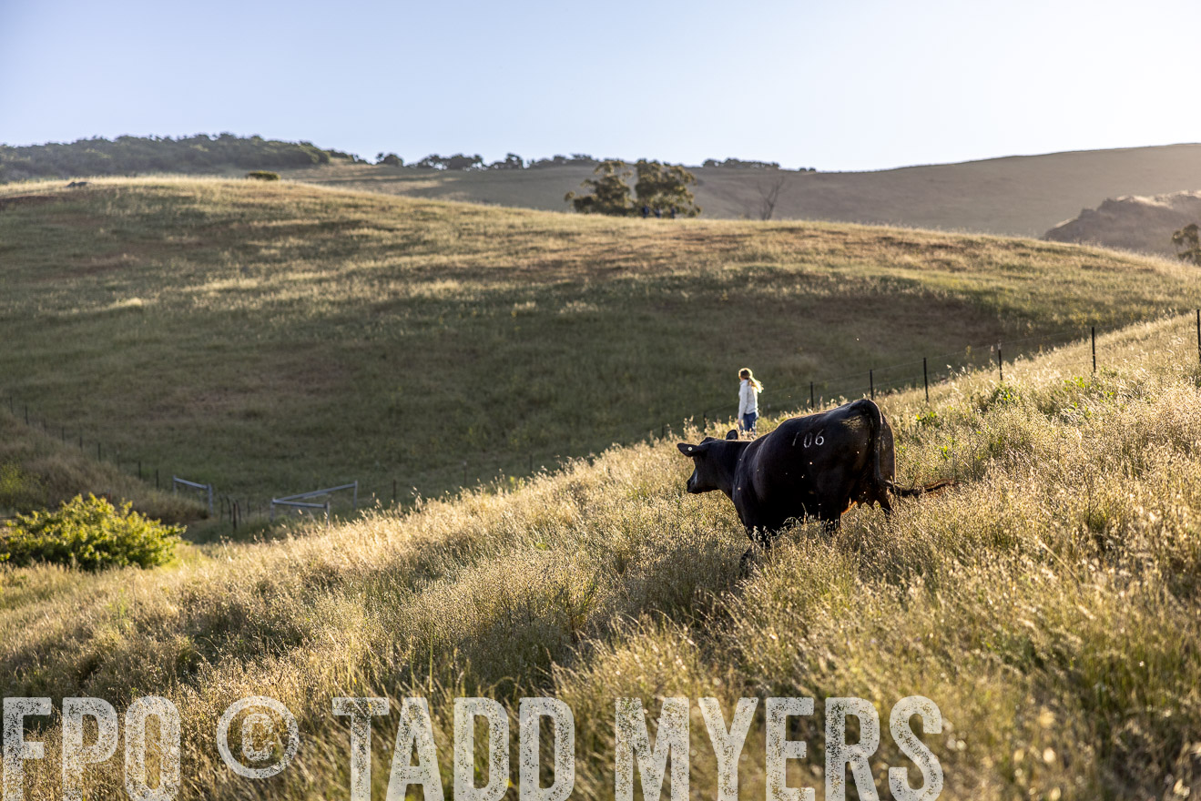 TMyers_CalPoly_CA_May2023-527338