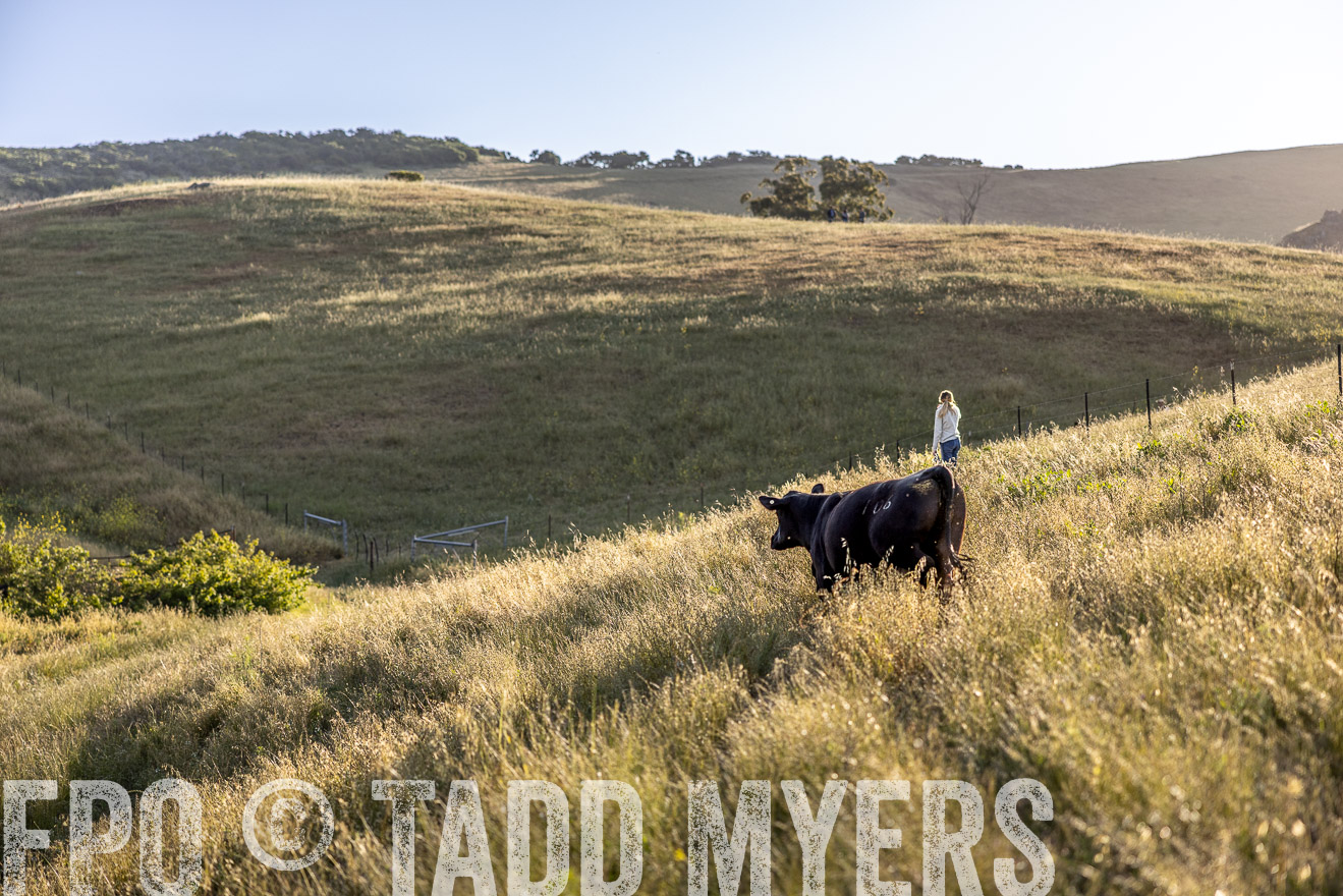 TMyers_CalPoly_CA_May2023-527343