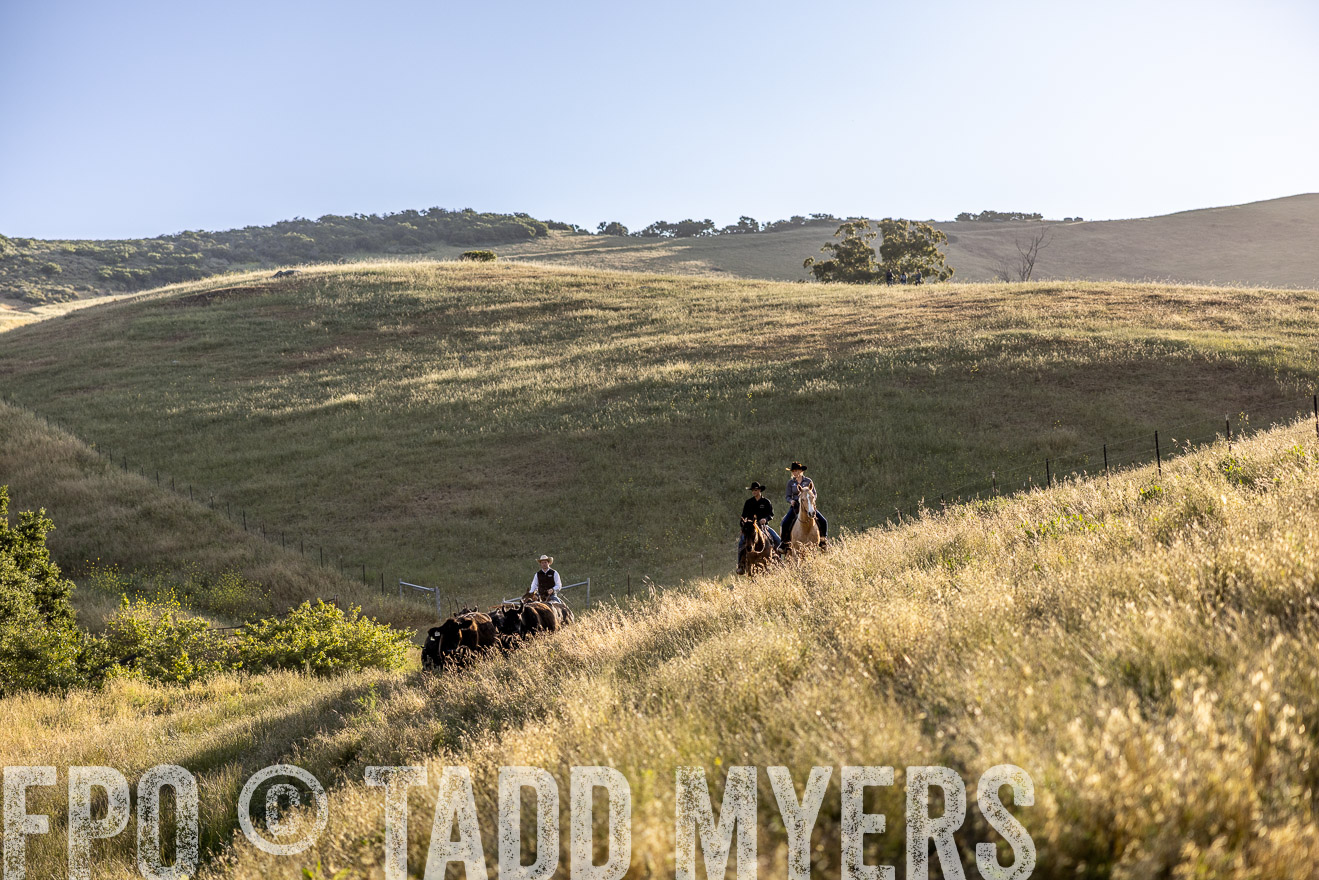 TMyers_CalPoly_CA_May2023-527381
