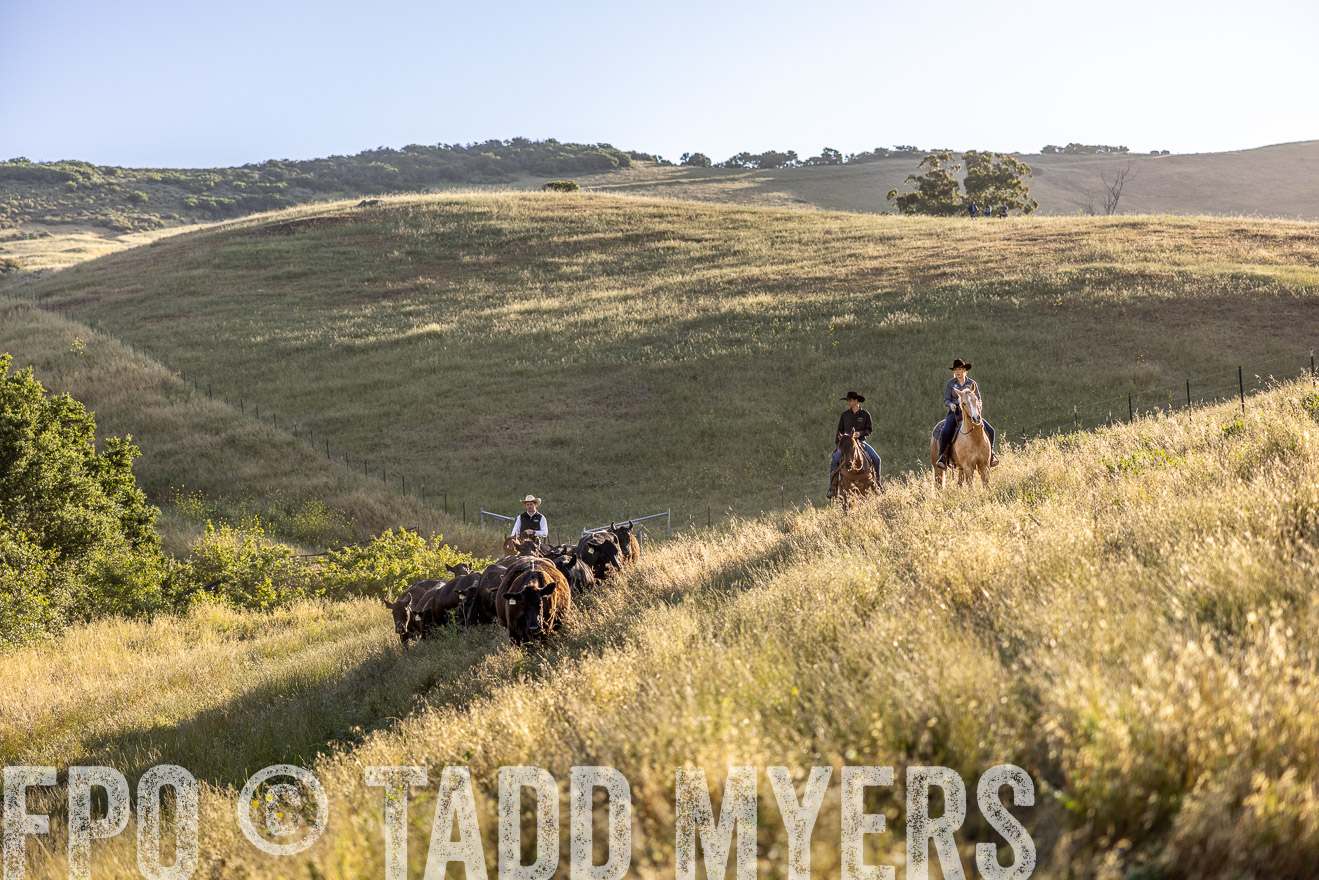 TMyers_CalPoly_CA_May2023-527400