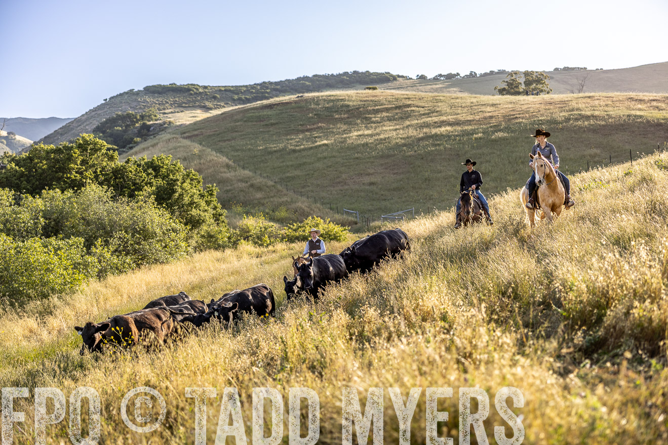 TMyers_CalPoly_CA_May2023-527456