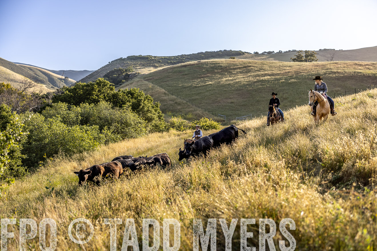 TMyers_CalPoly_CA_May2023-527466