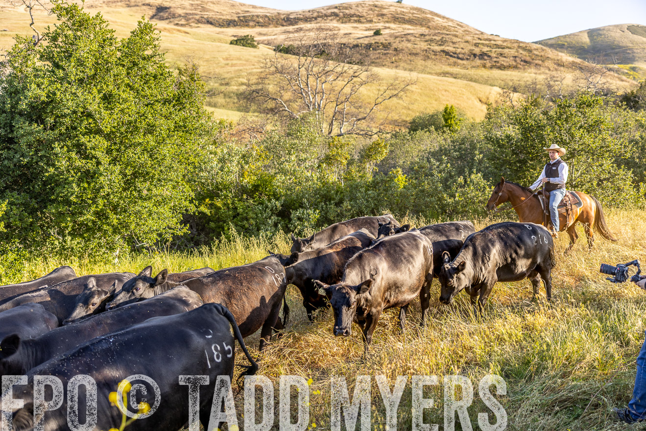 TMyers_CalPoly_CA_May2023-527486