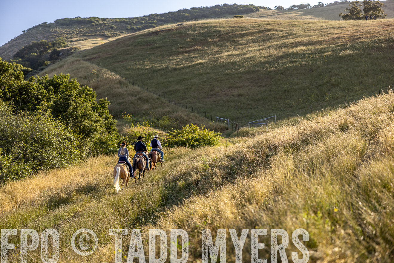TMyers_CalPoly_CA_May2023-527537