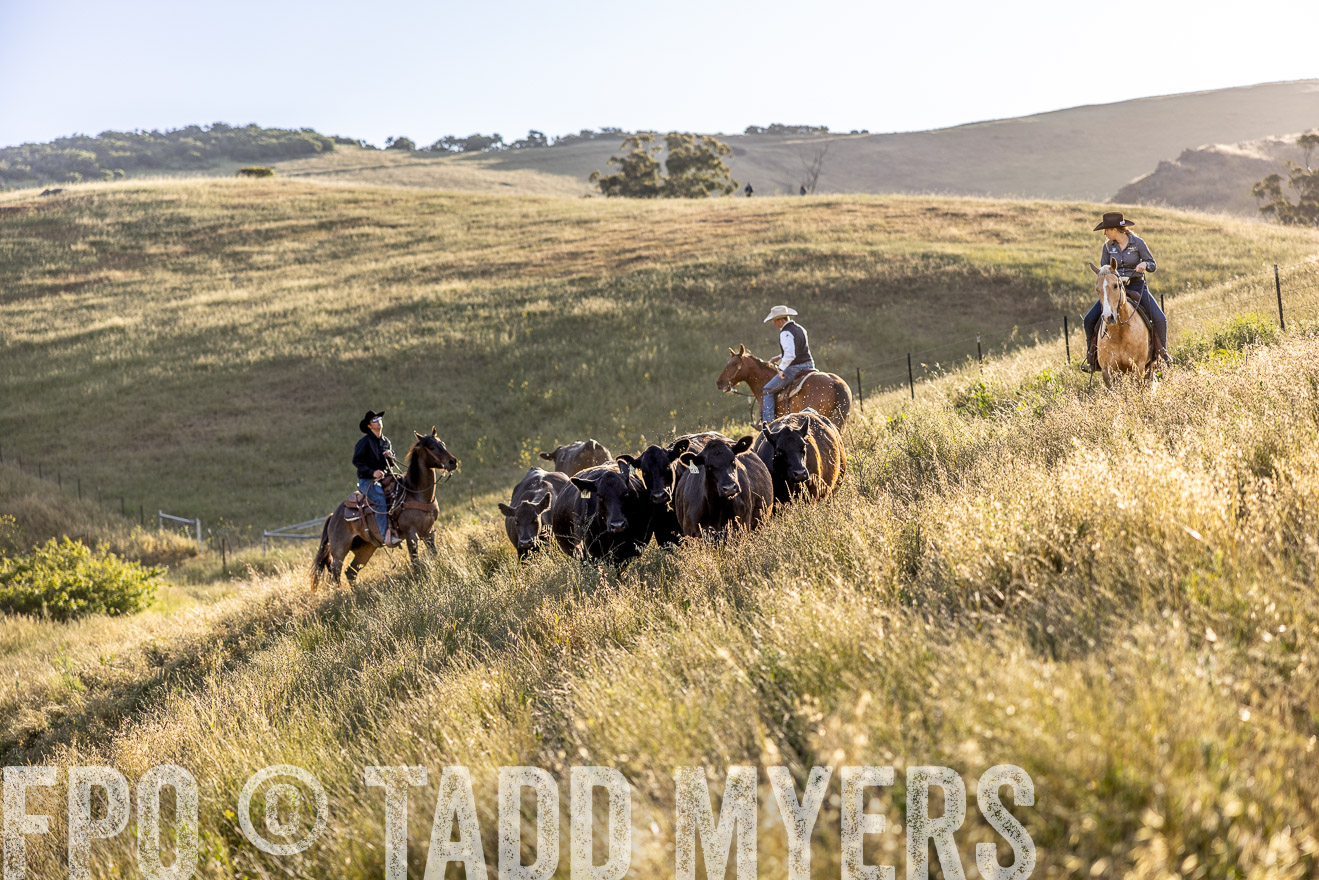 TMyers_CalPoly_CA_May2023-527667
