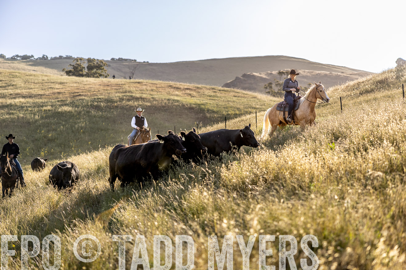 TMyers_CalPoly_CA_May2023-527679