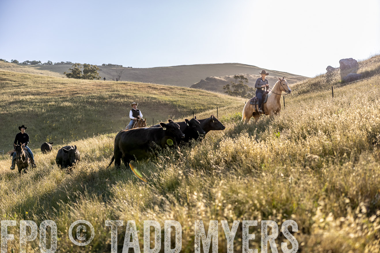 TMyers_CalPoly_CA_May2023-527688