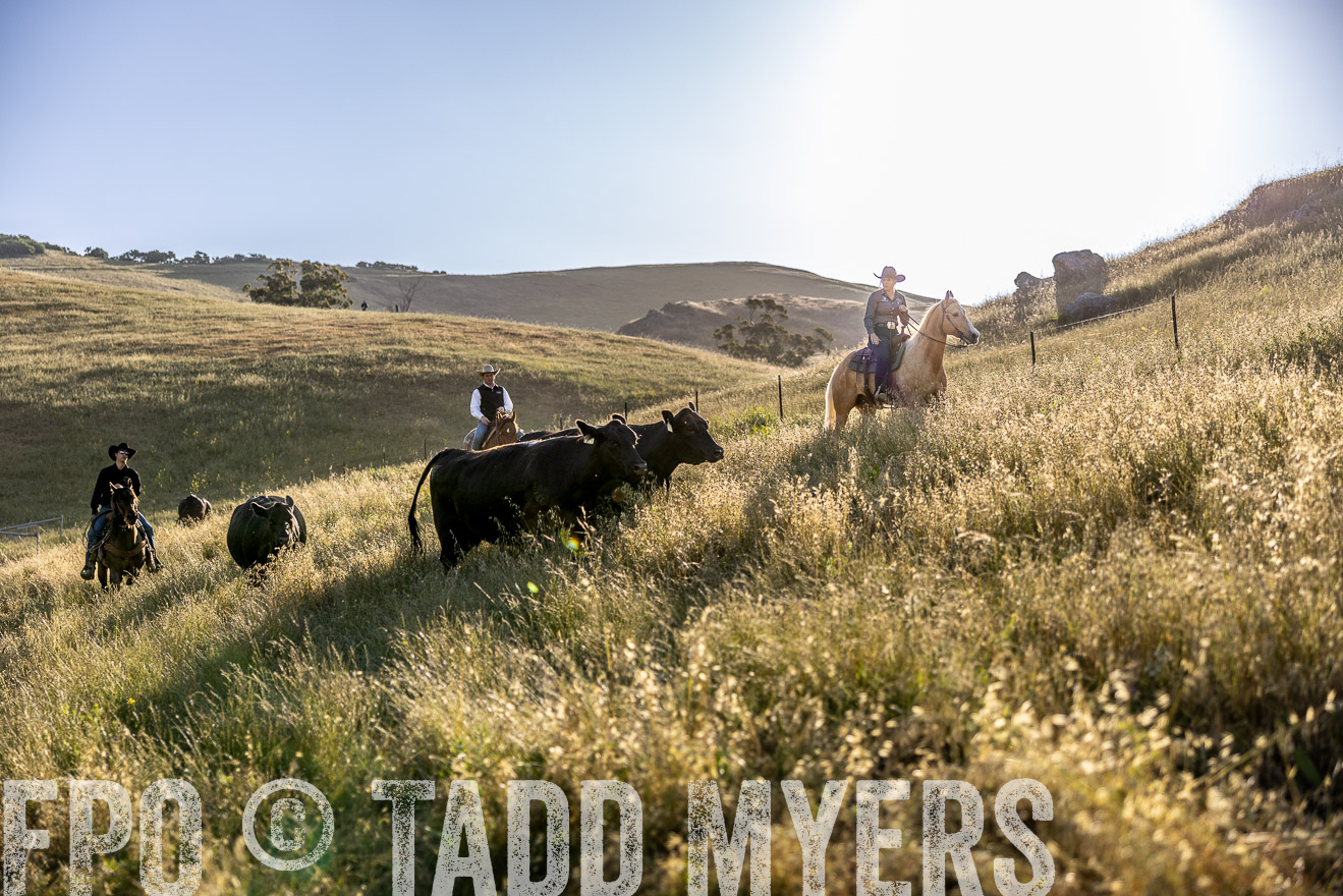 TMyers_CalPoly_CA_May2023-527698