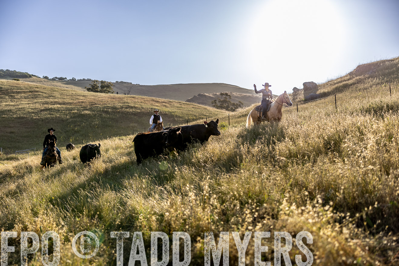 TMyers_CalPoly_CA_May2023-527702