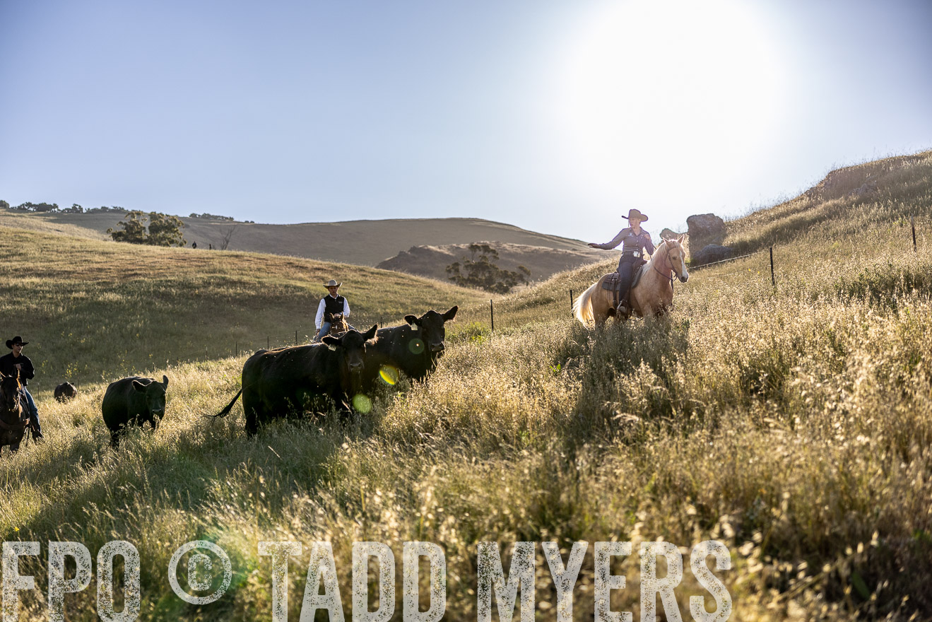 TMyers_CalPoly_CA_May2023-527715