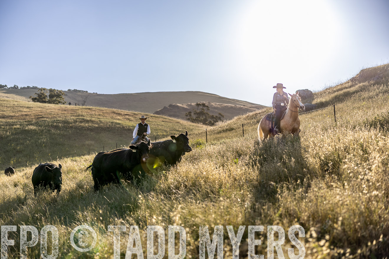 TMyers_CalPoly_CA_May2023-527722