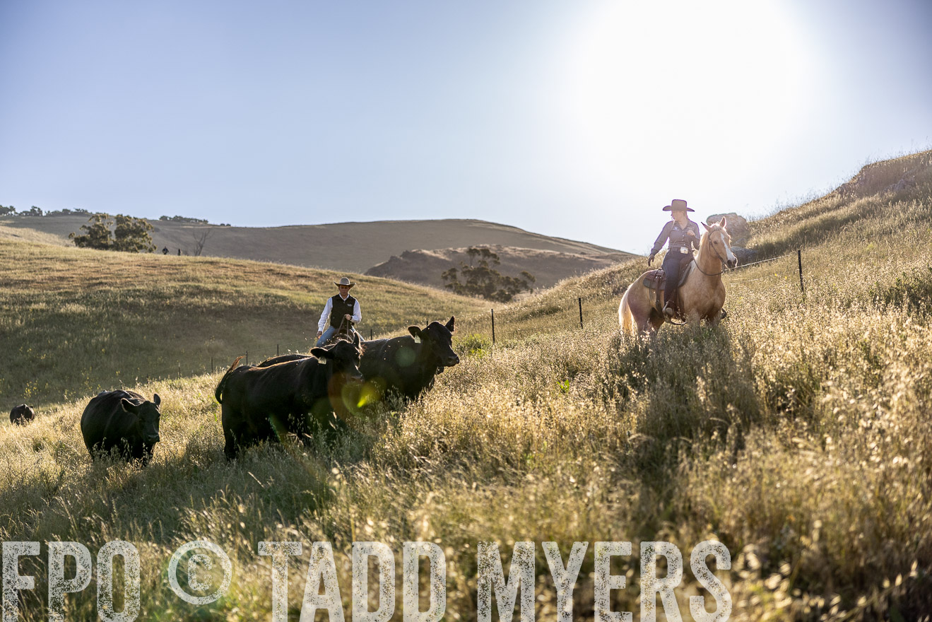 TMyers_CalPoly_CA_May2023-527726