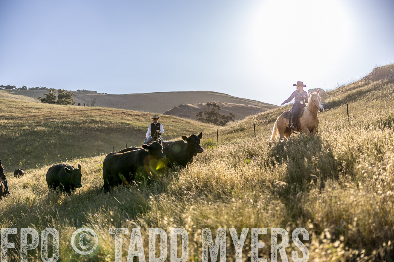 TMyers_CalPoly_CA_May2023-527729